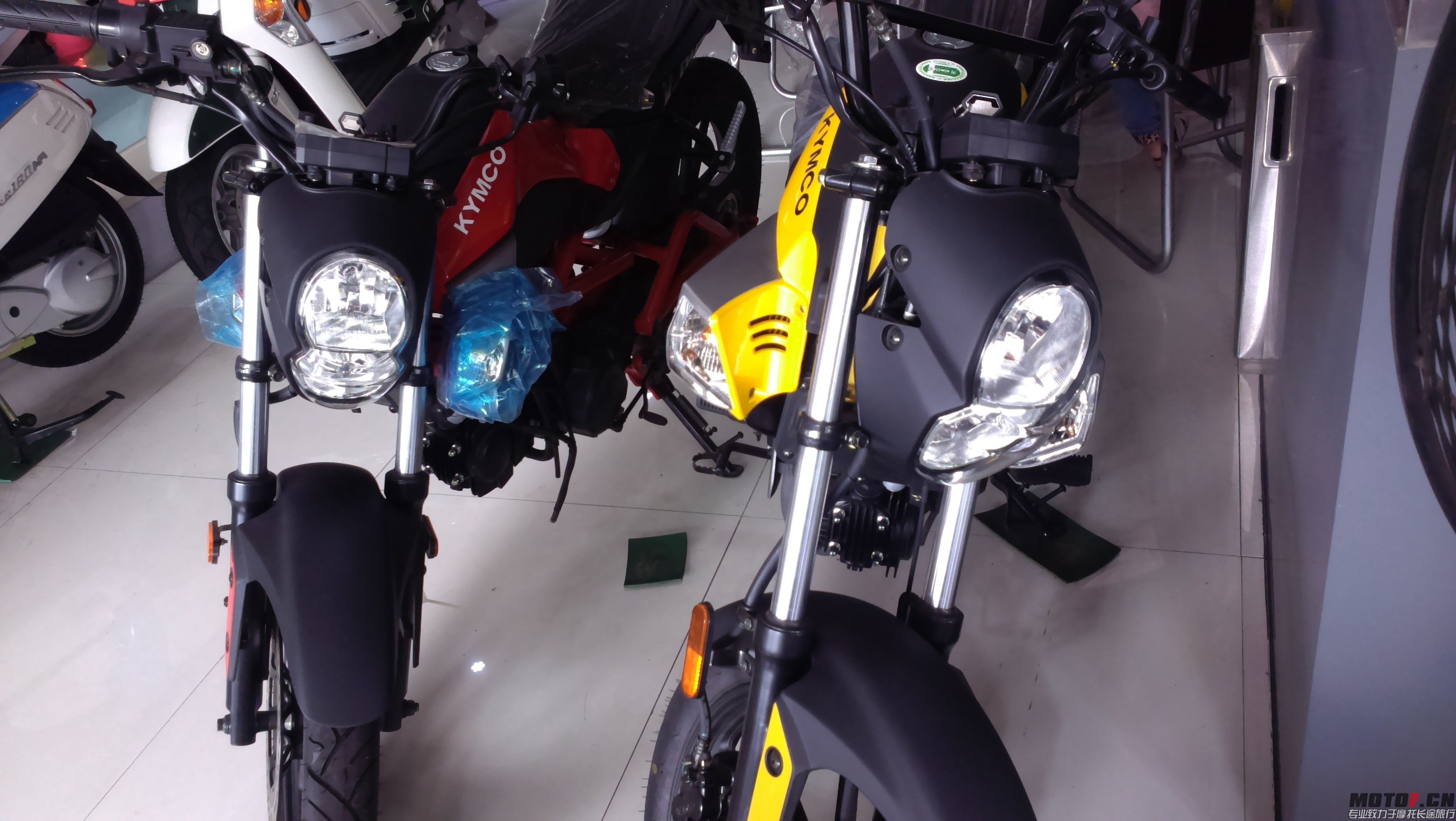 IMAG0079.jpg