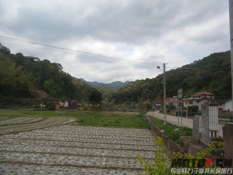 170611n3ij2gvmav2uxi8g.jpg.thumb.jpg