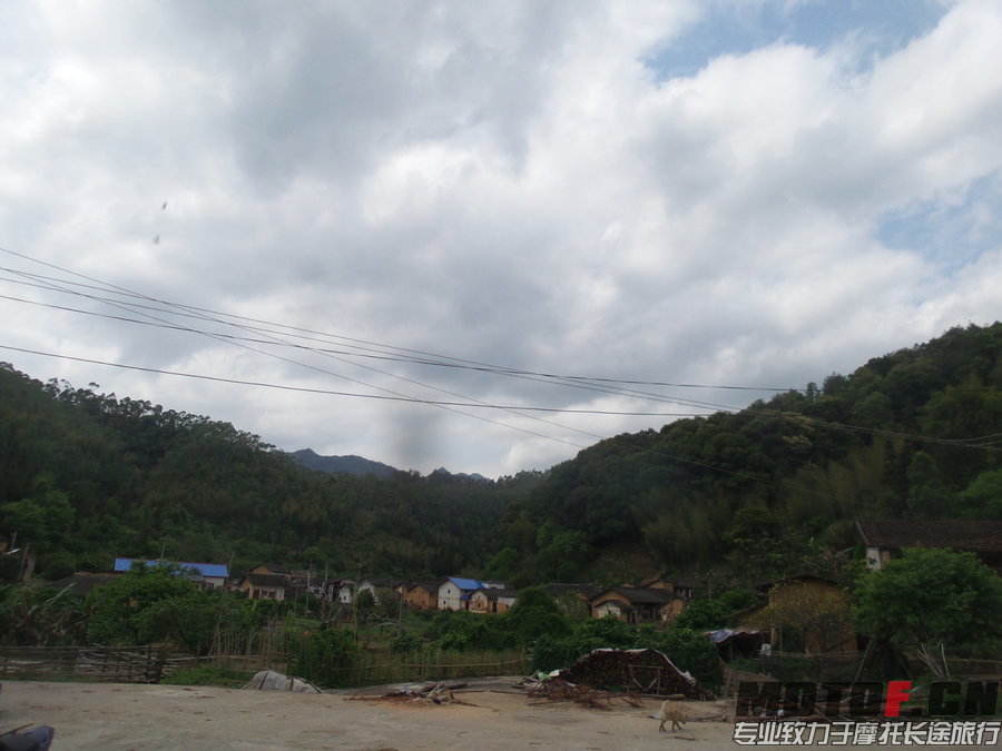 170616ld7d4odcv4fly94b.jpg.thumb.jpg