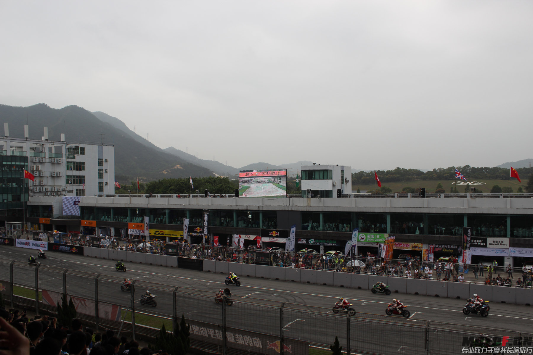 IMG_3352.jpg