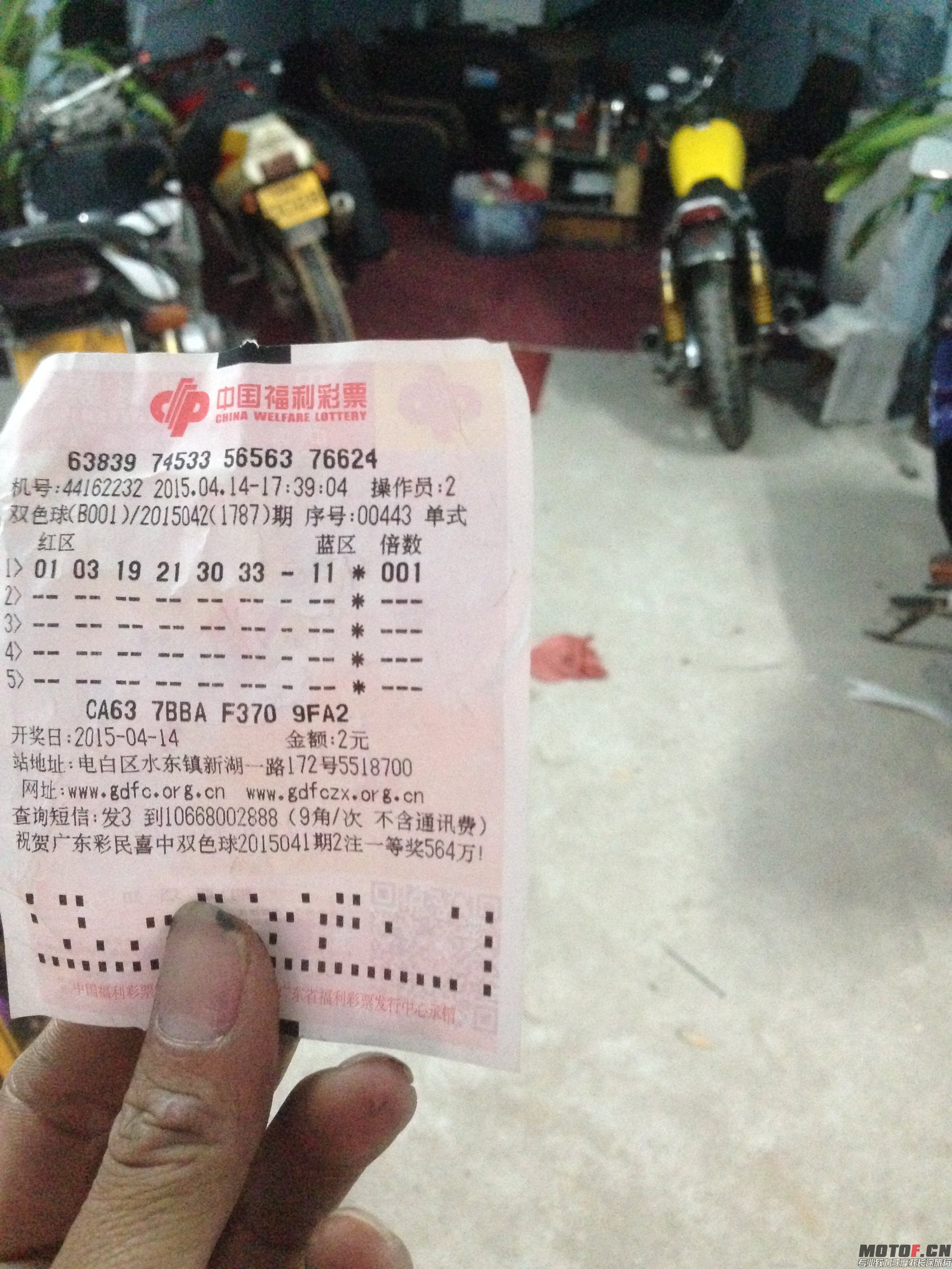 88888888888888.JPG