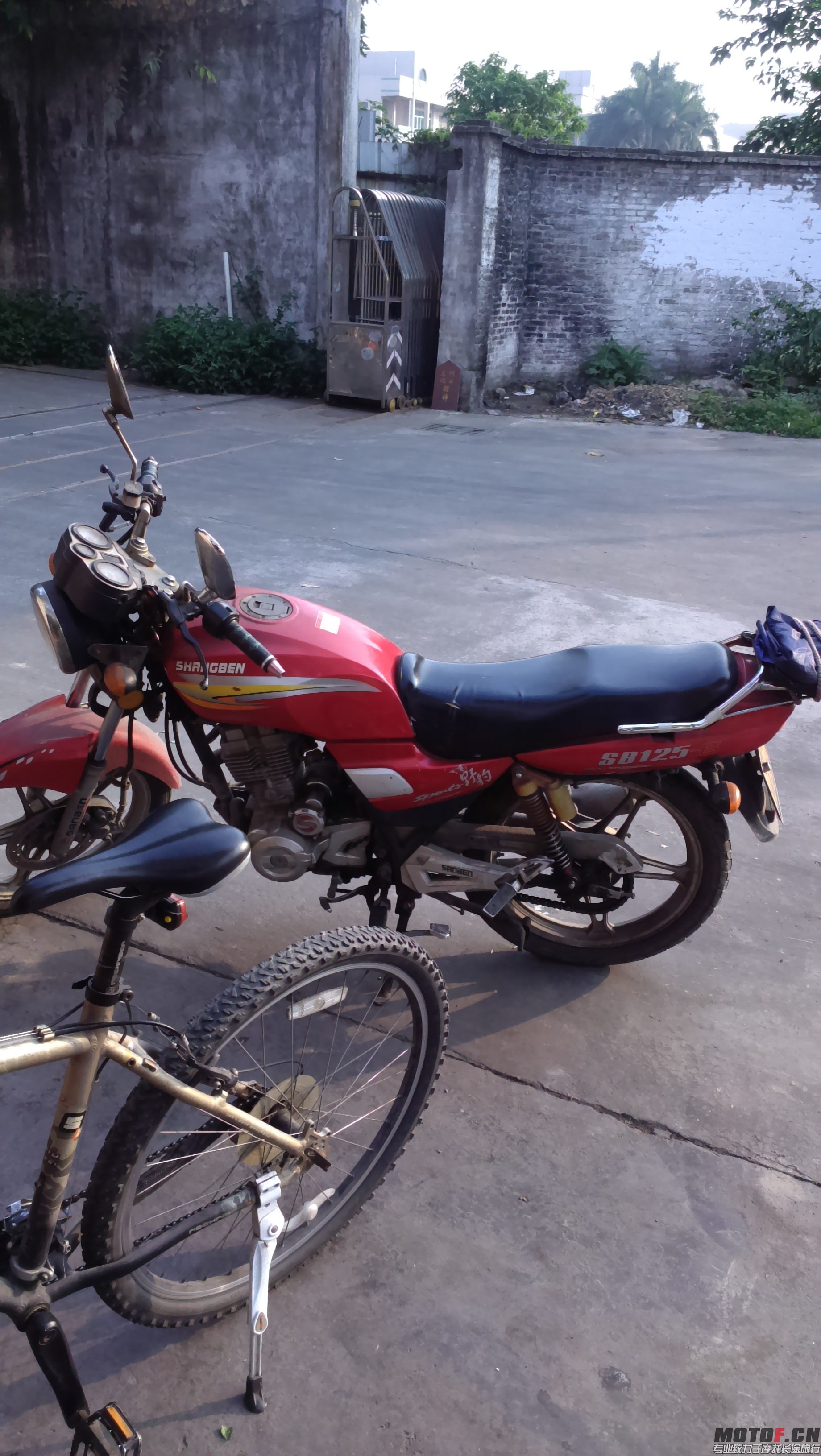 IMAG0137.jpg