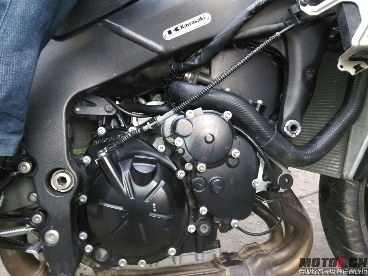 mmexport1424337238976.jpg