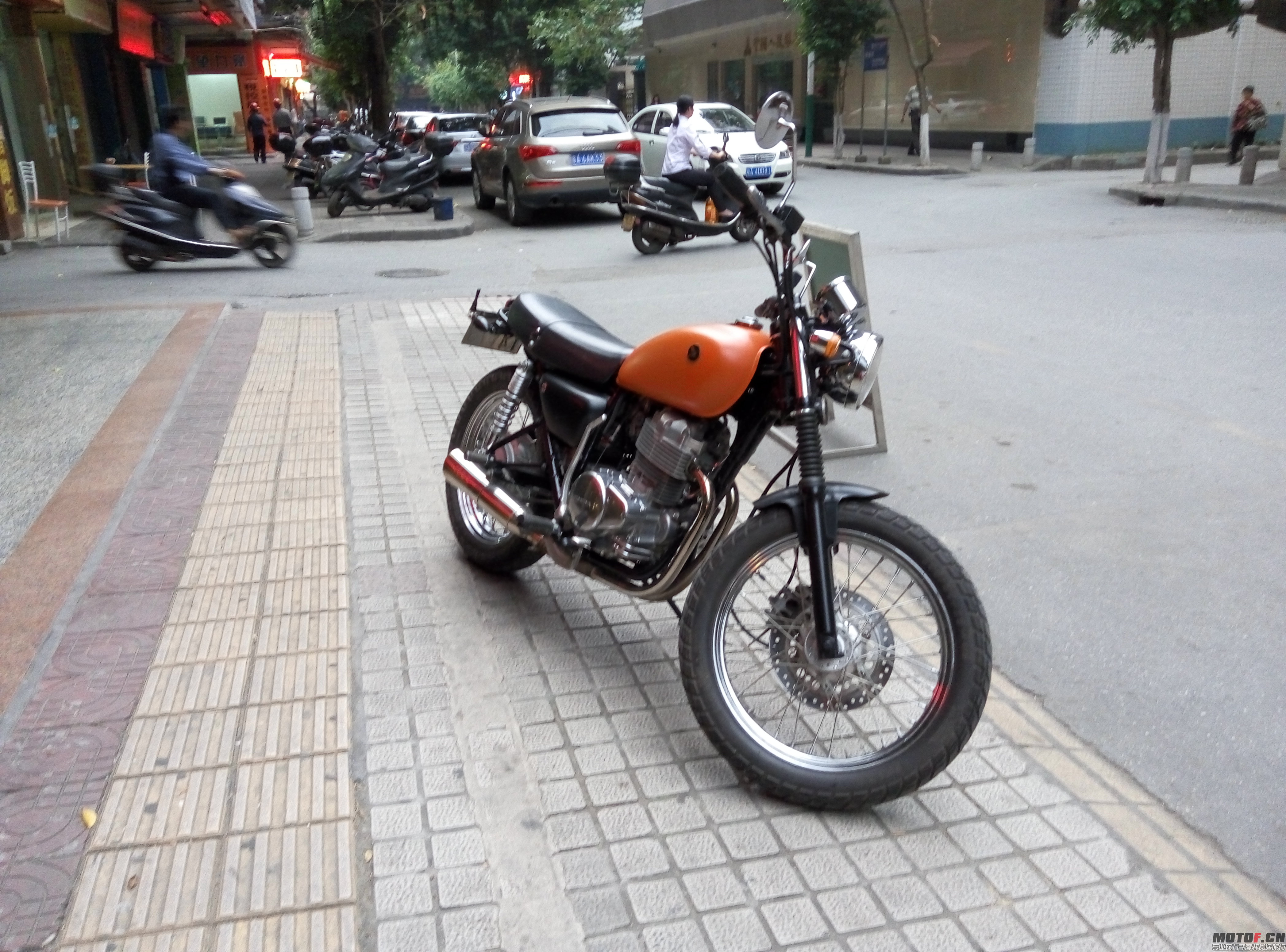 P50407-181617.jpg