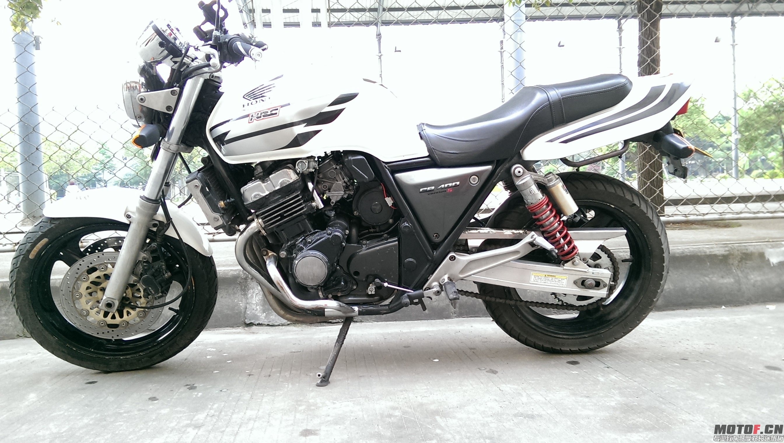 IMAG0498.jpg