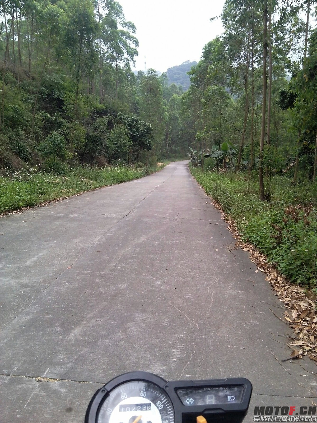 psbCAA1C801.jpg