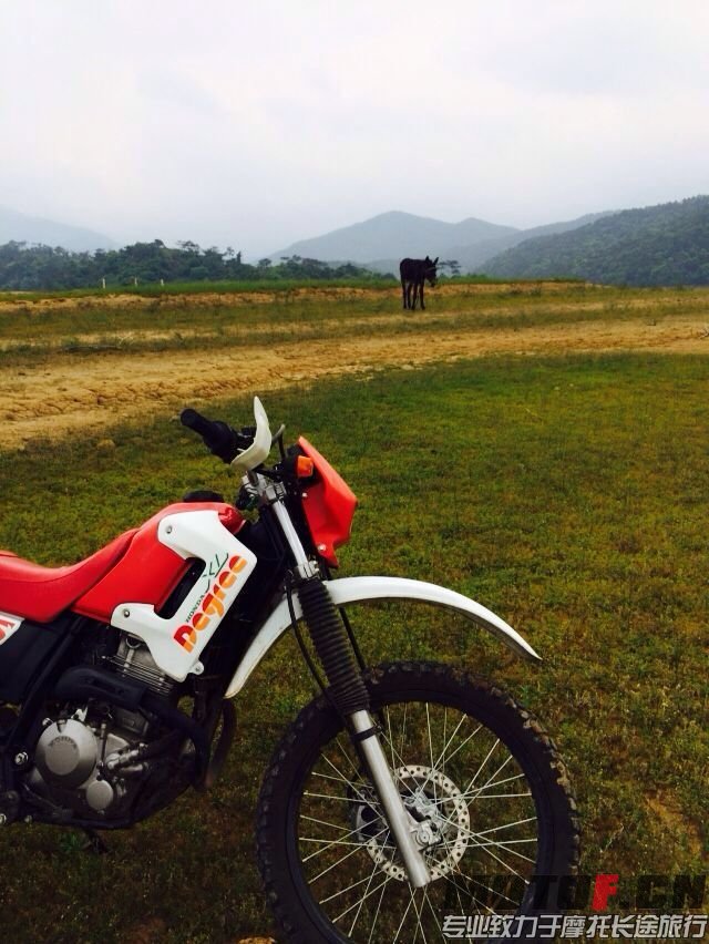 第一台红鸡本田XR25O