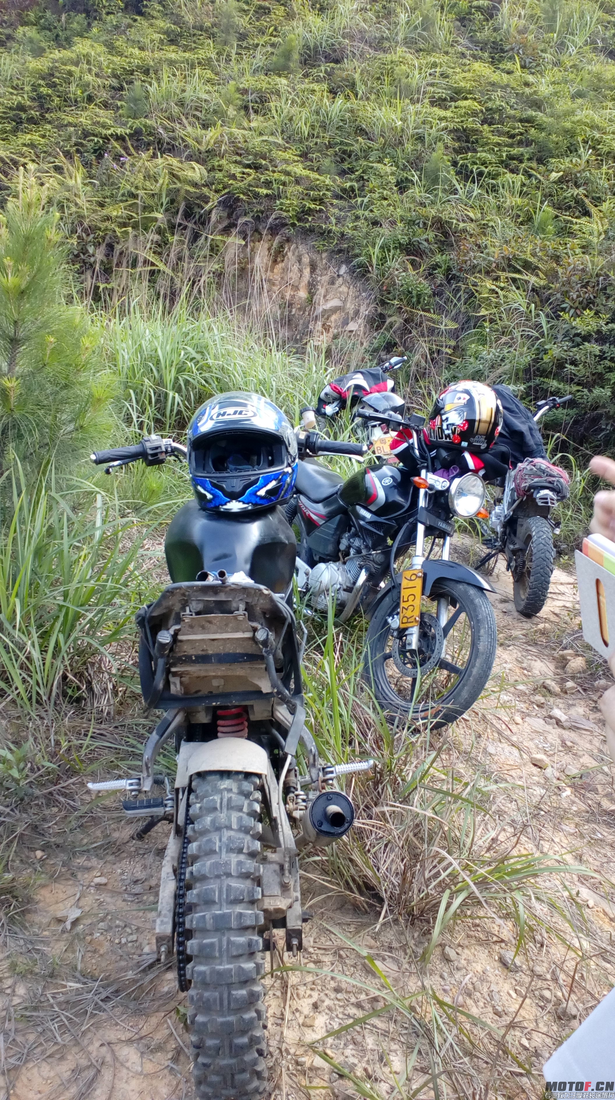 IMG20150427165421.jpg