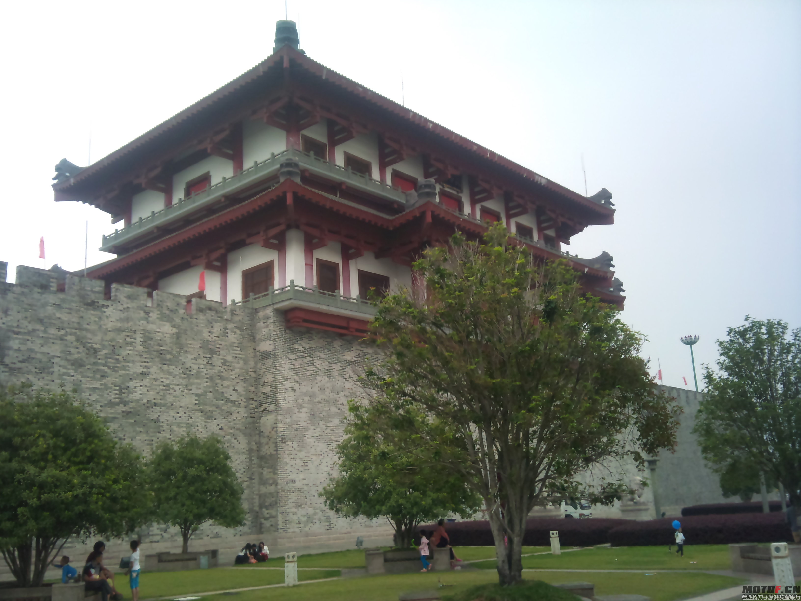 DSC_0102.jpg