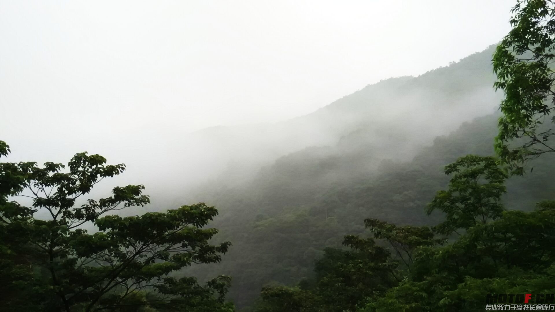QQ图片20150502072117.jpg