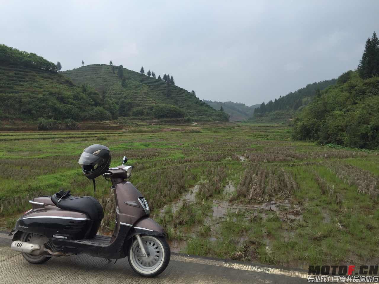 wuyisIMG_7267.JPG