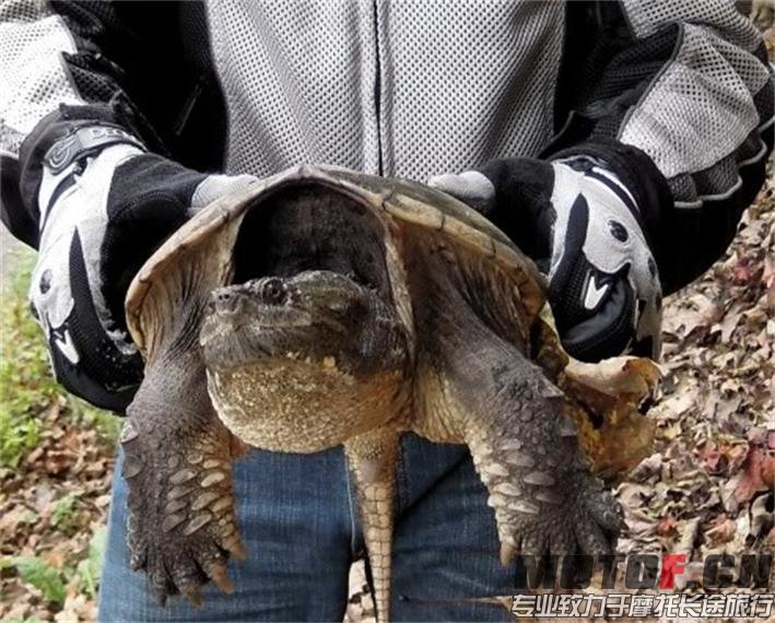 DSCN1894_2345看图王.jpg