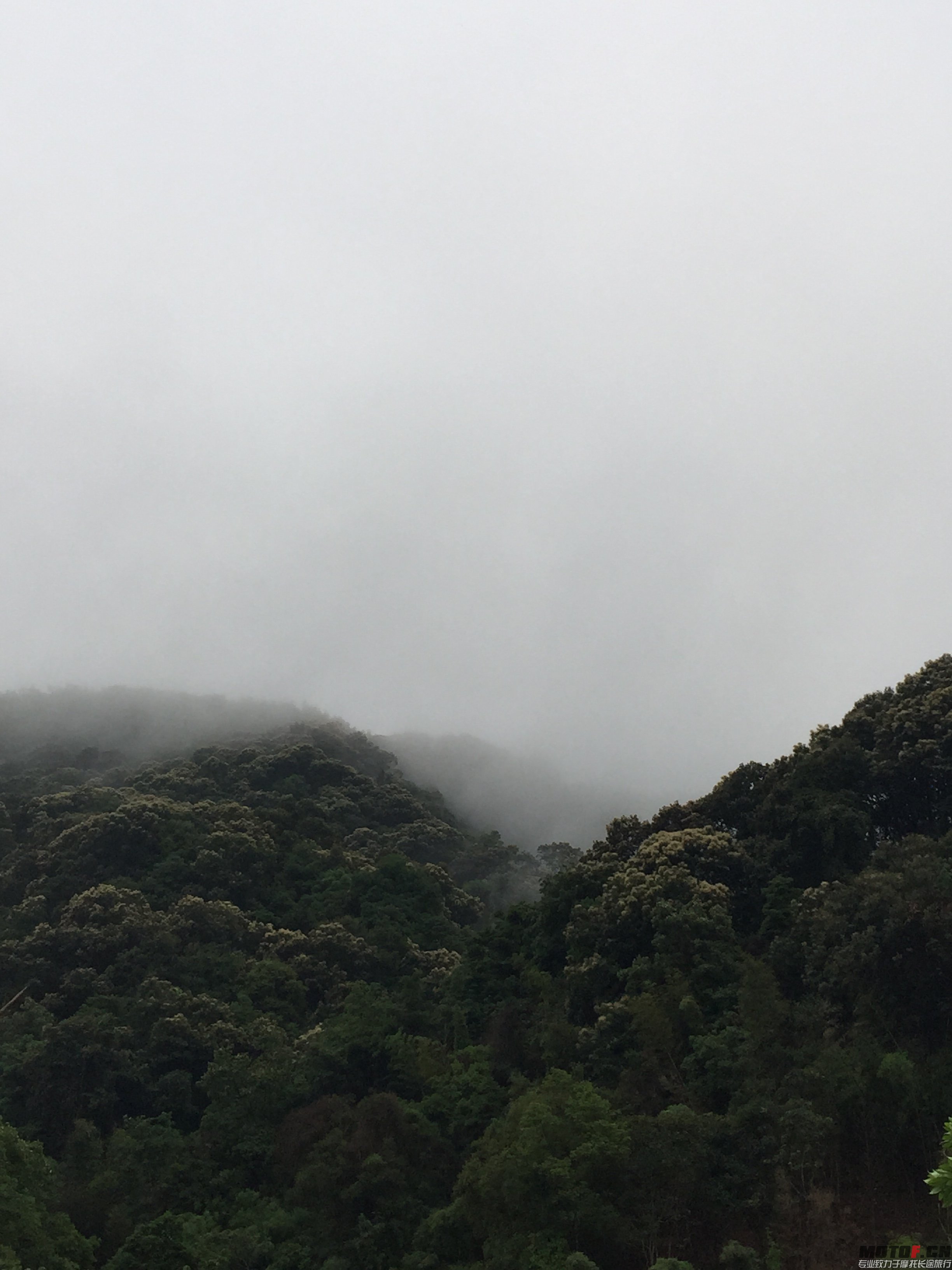 照片 002.jpg