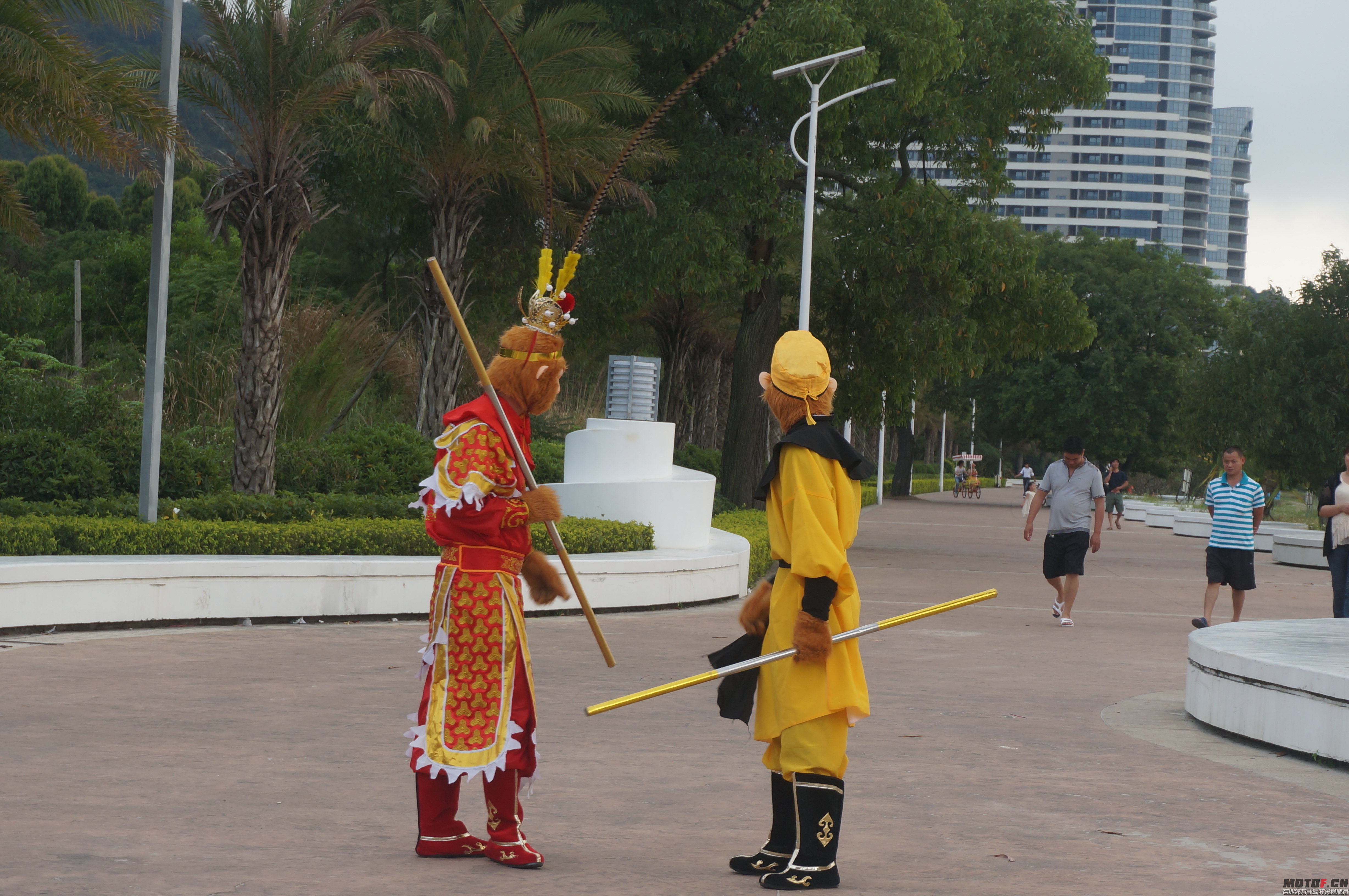 DSC01916.JPG