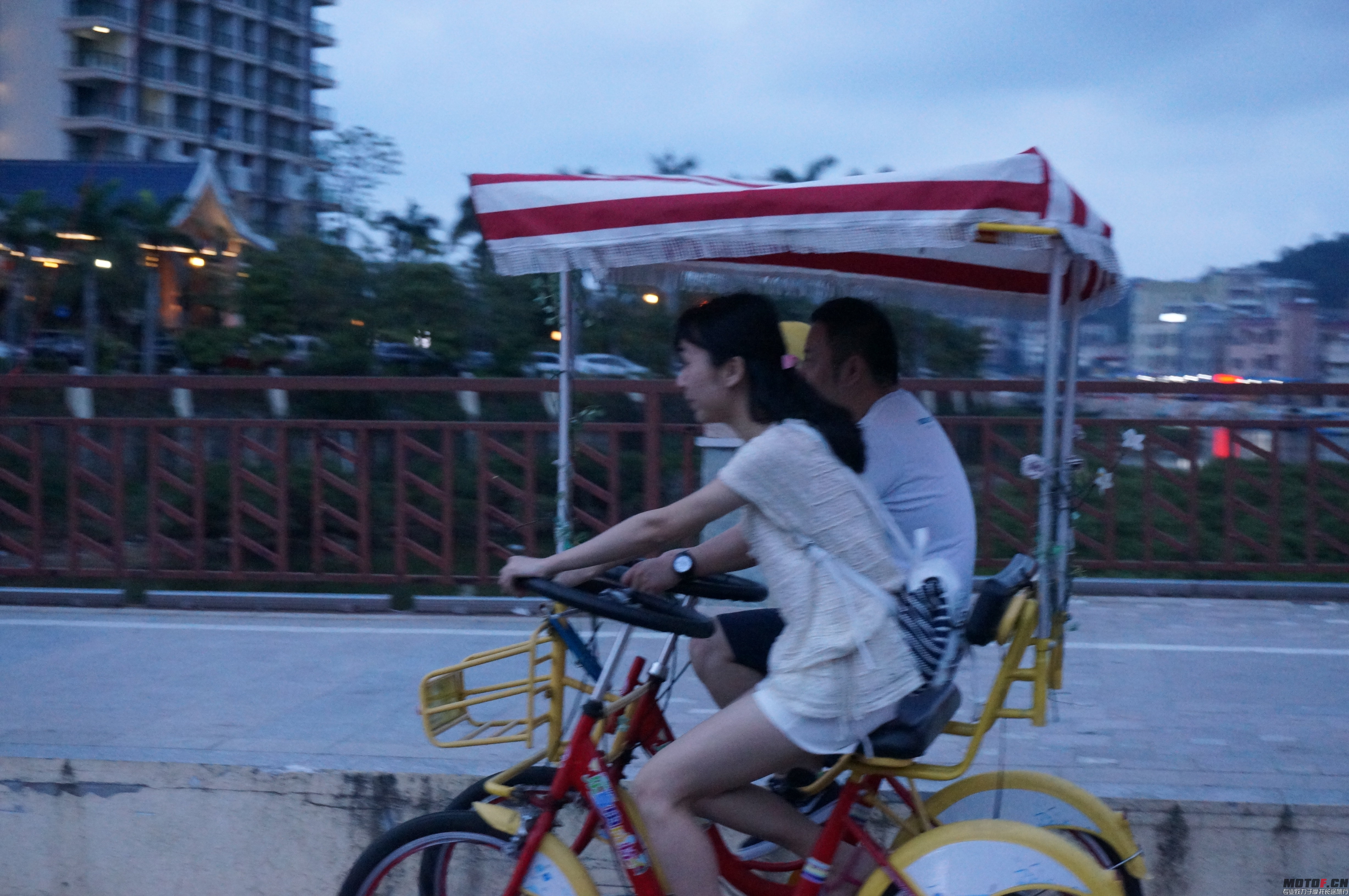 DSC02309.JPG