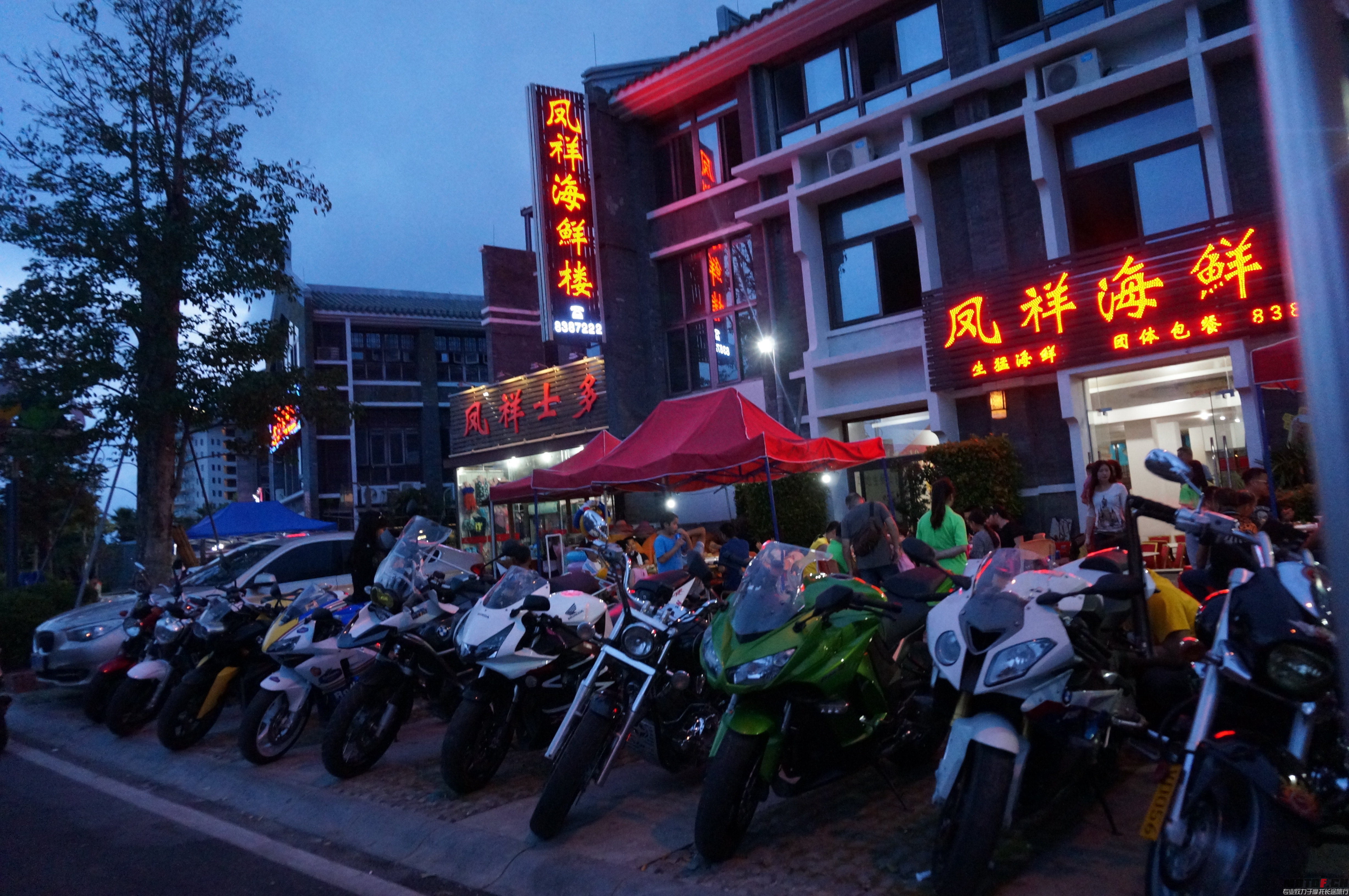 DSC02342.JPG