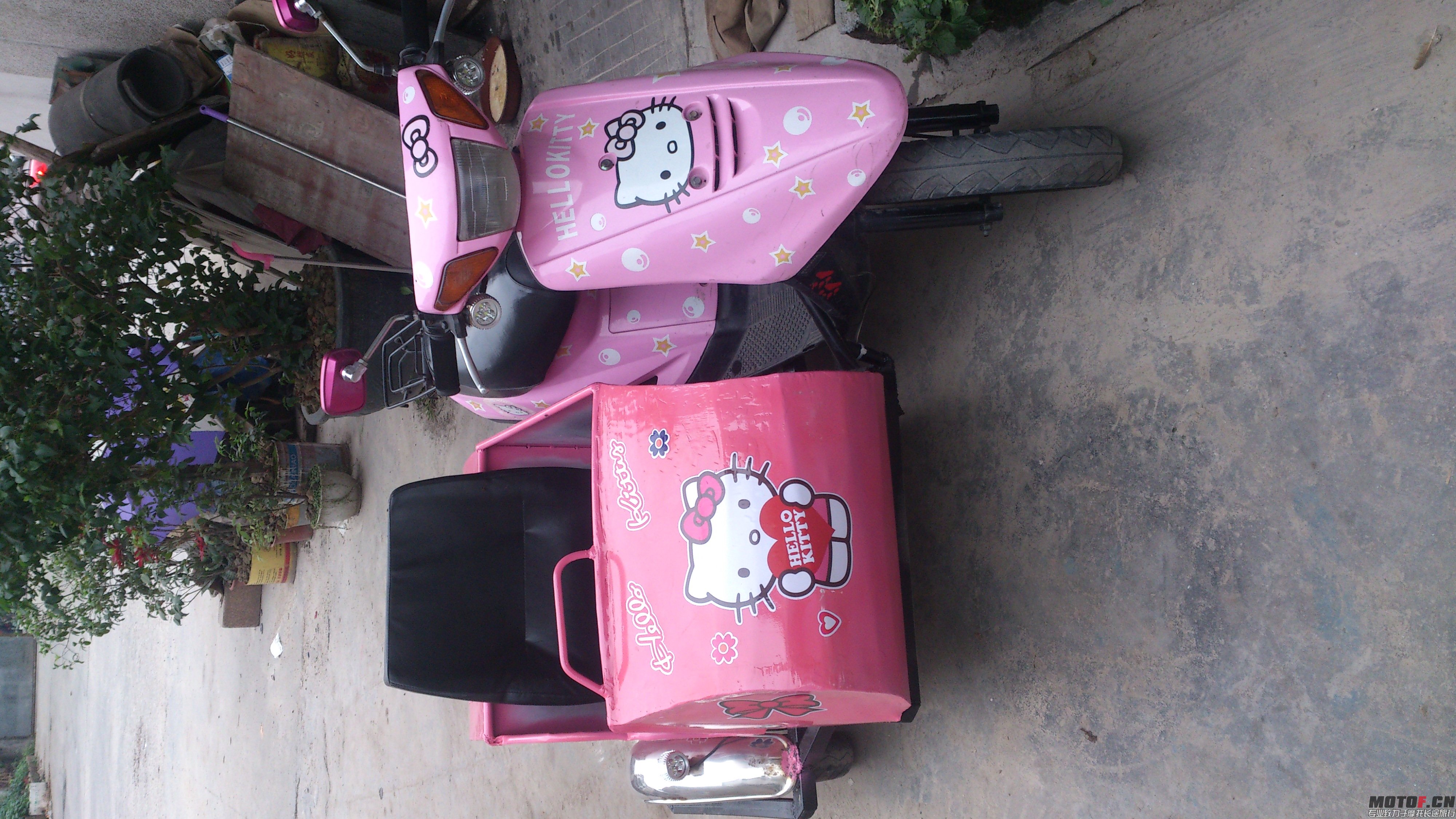 DSC_0114.jpg