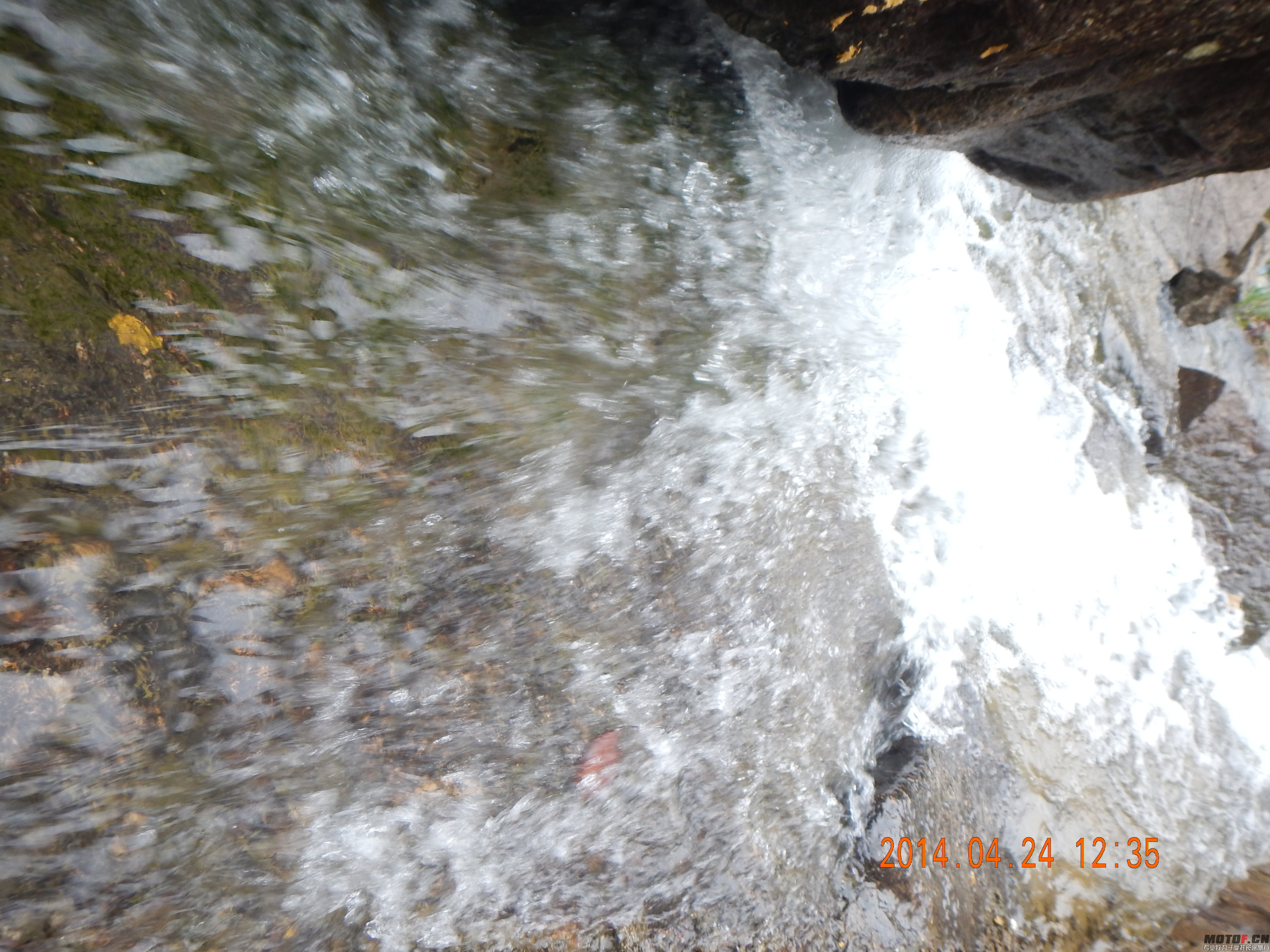 DSCN7886.JPG