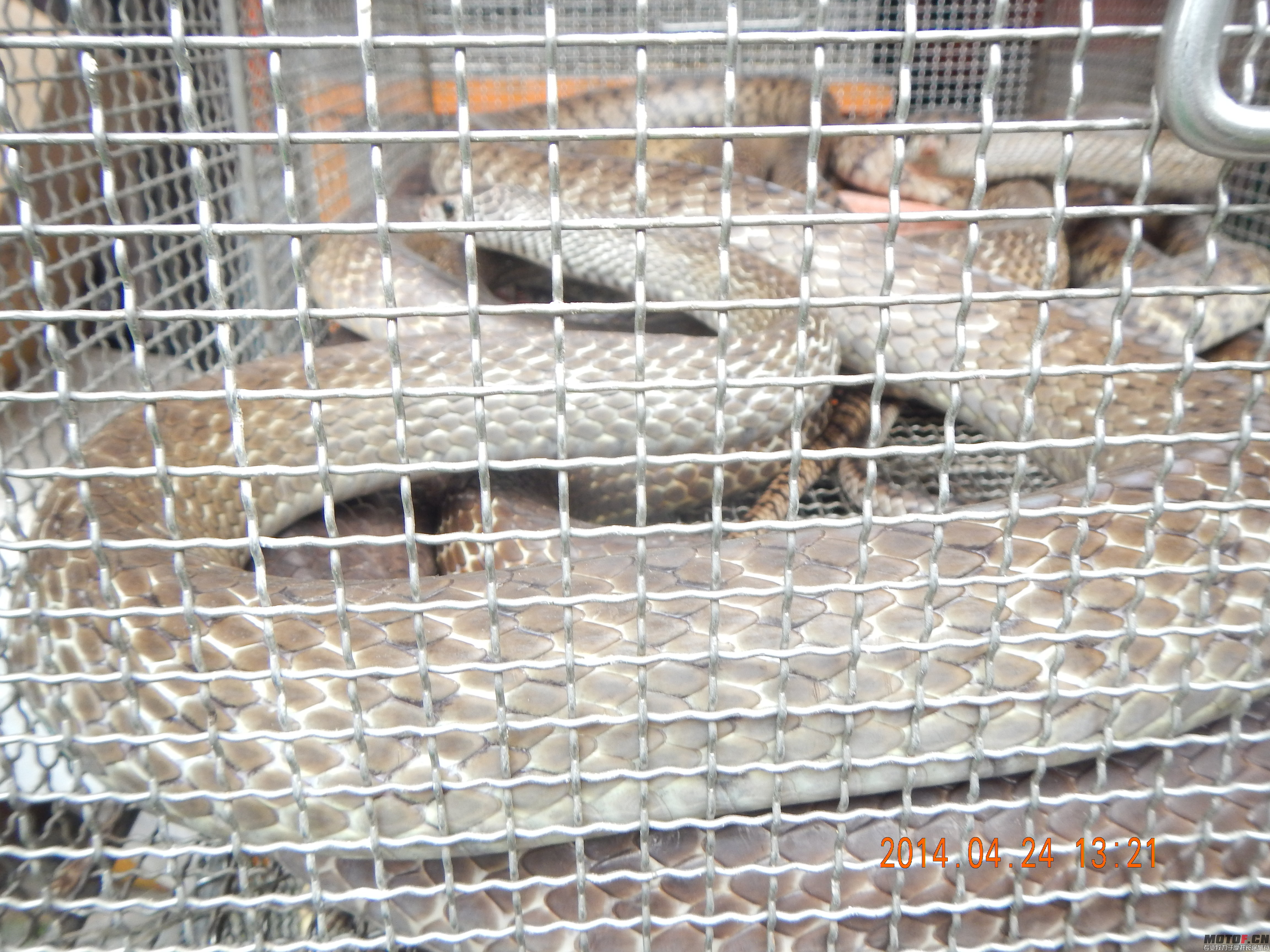 DSCN7897.JPG