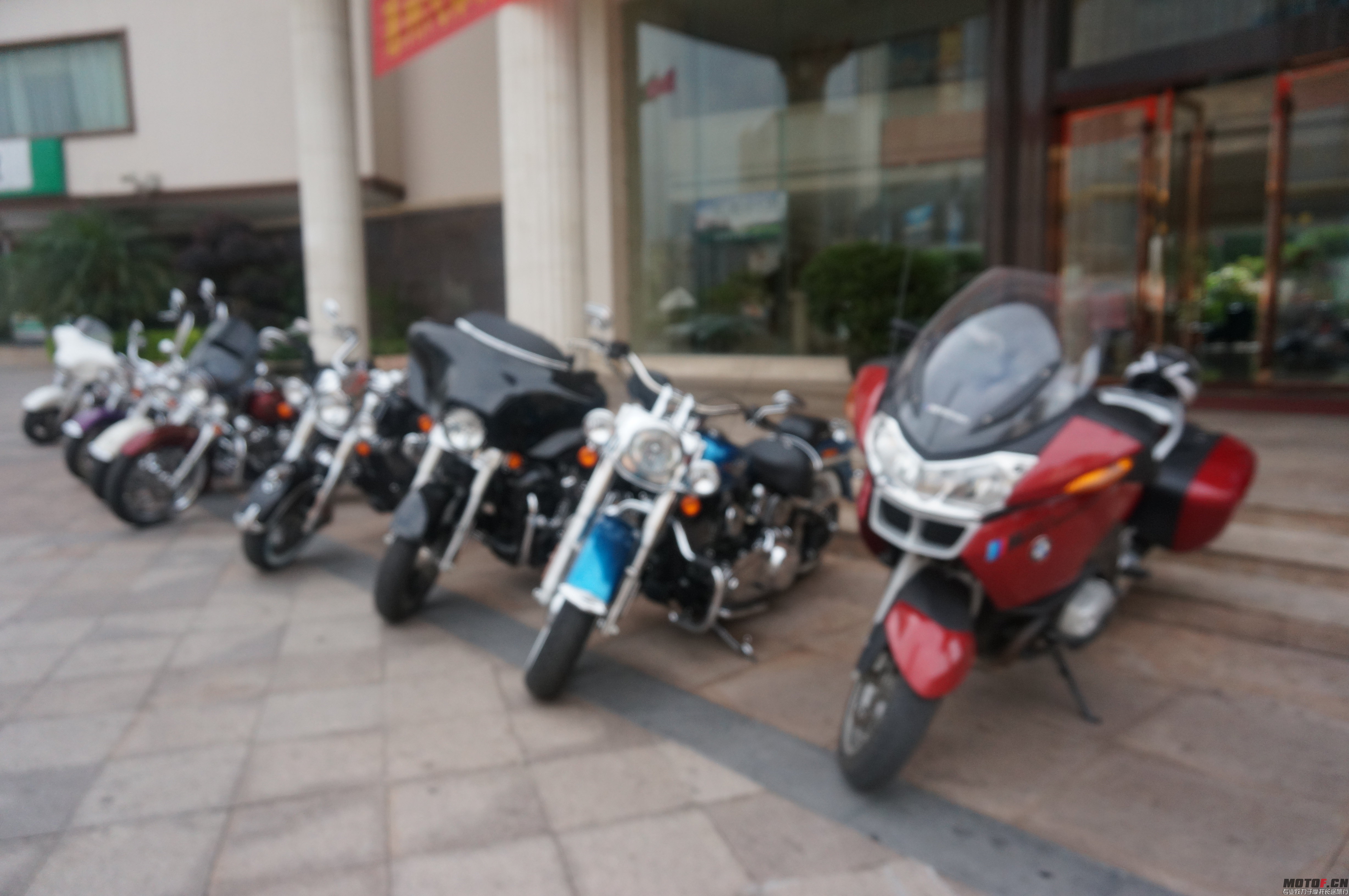 DSC03169.JPG