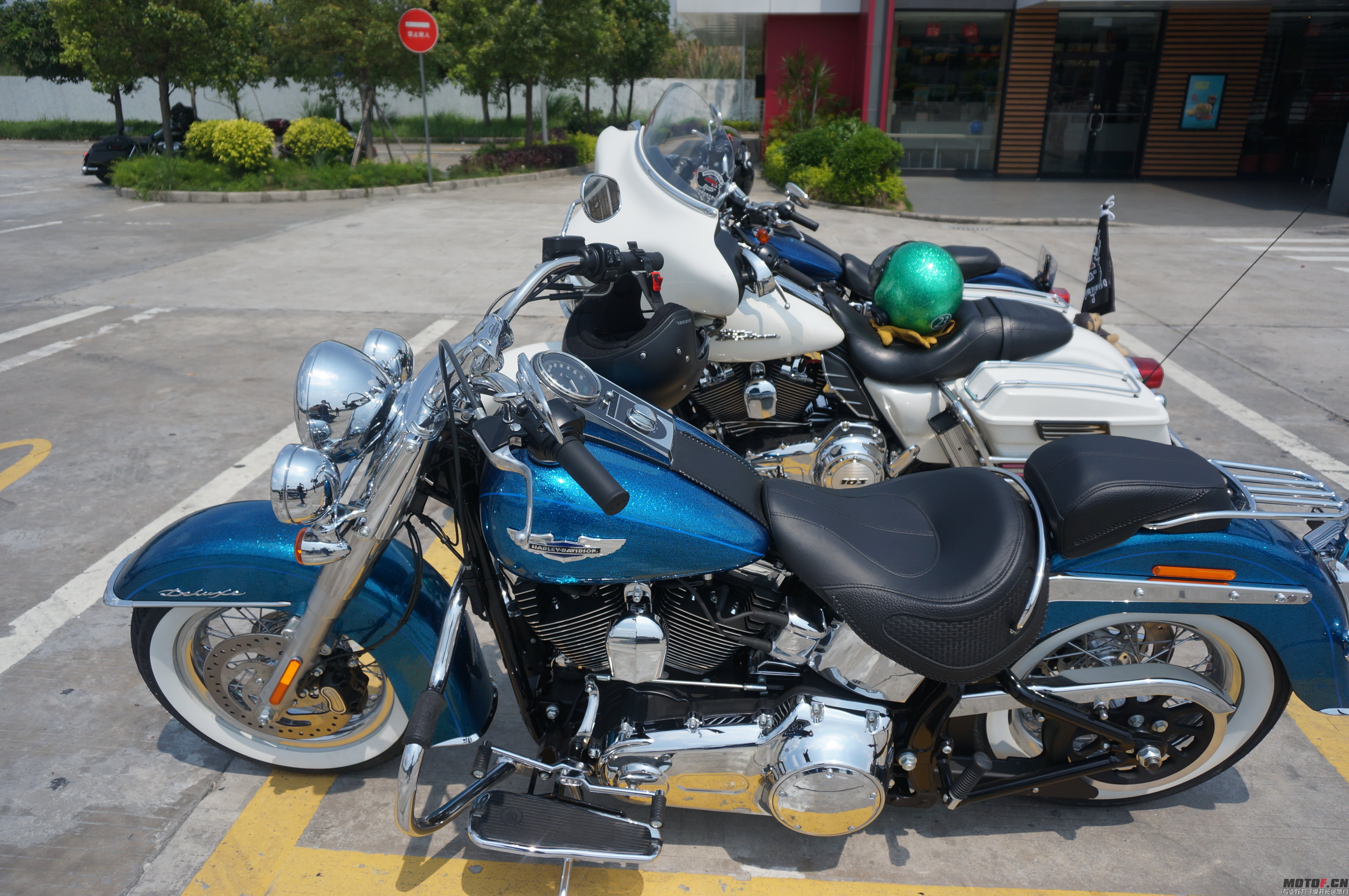 DSC03416.JPG