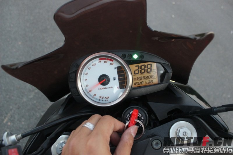 IMG_9925.jpg