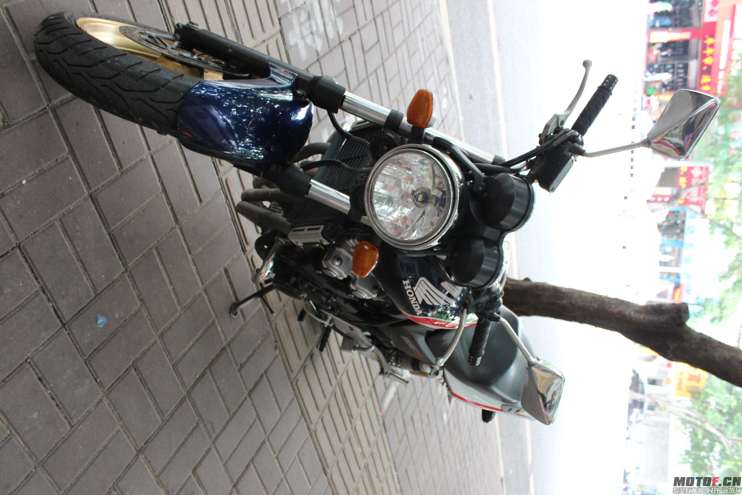IMG_8691.JPG