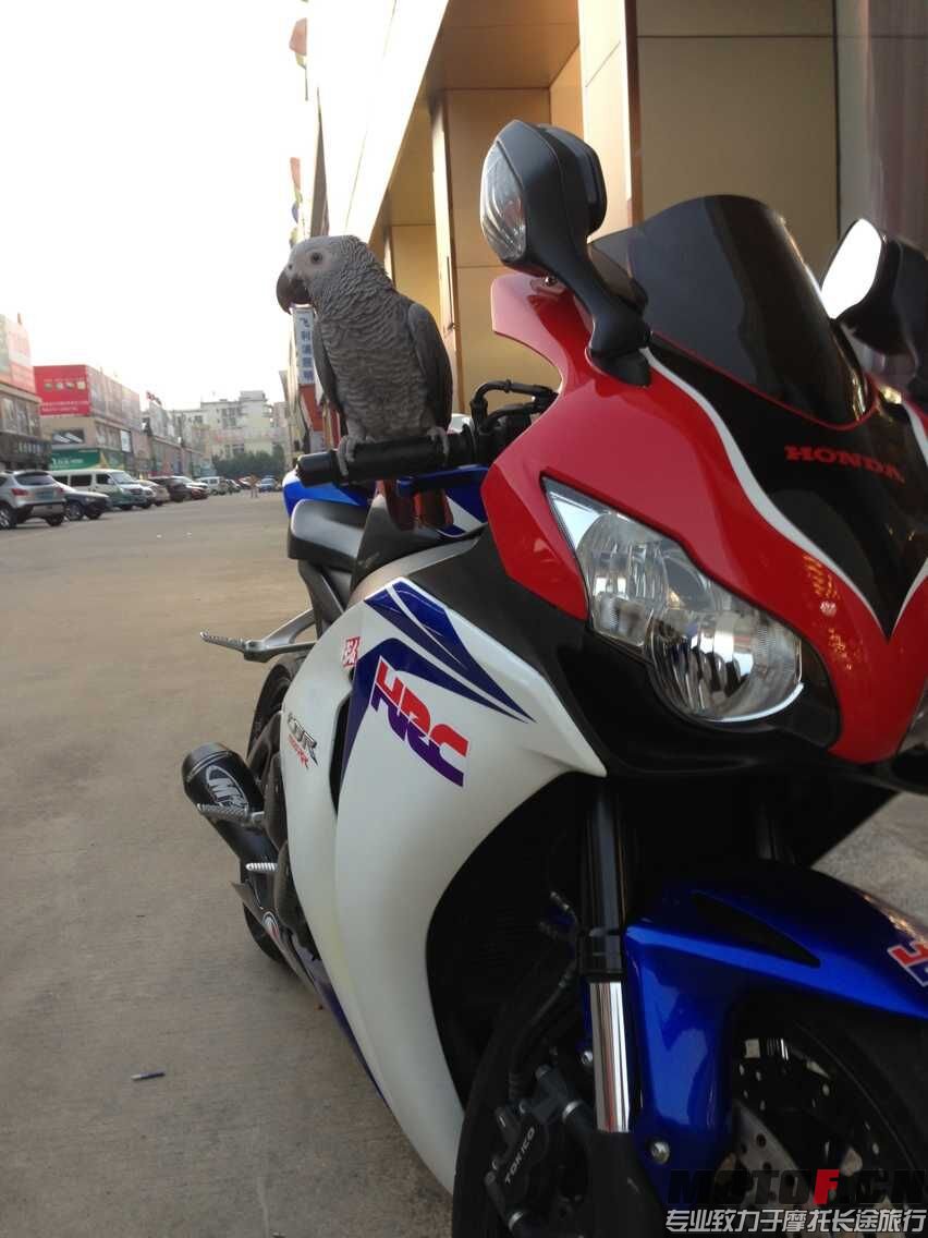 QQ图片20150519070206.jpg