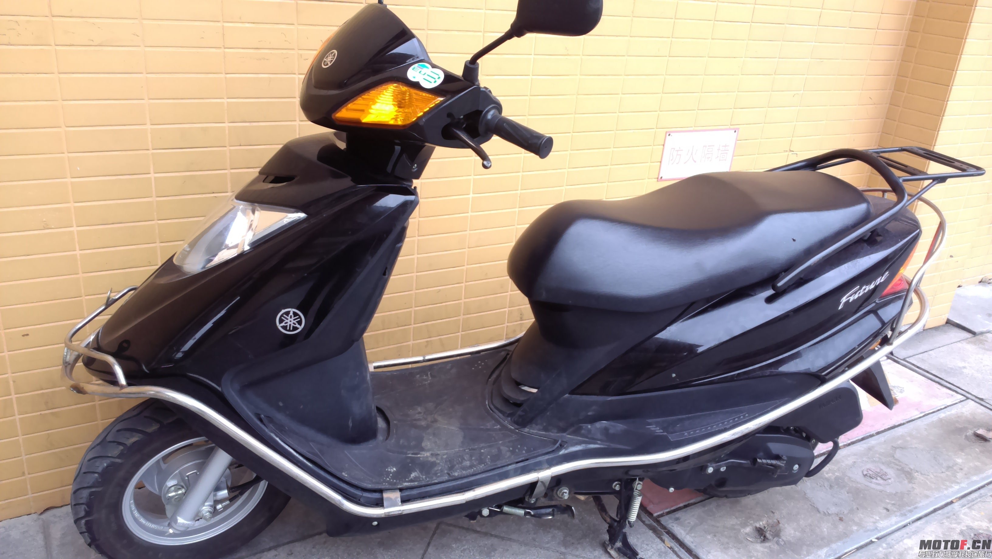 IMAG0305.jpg