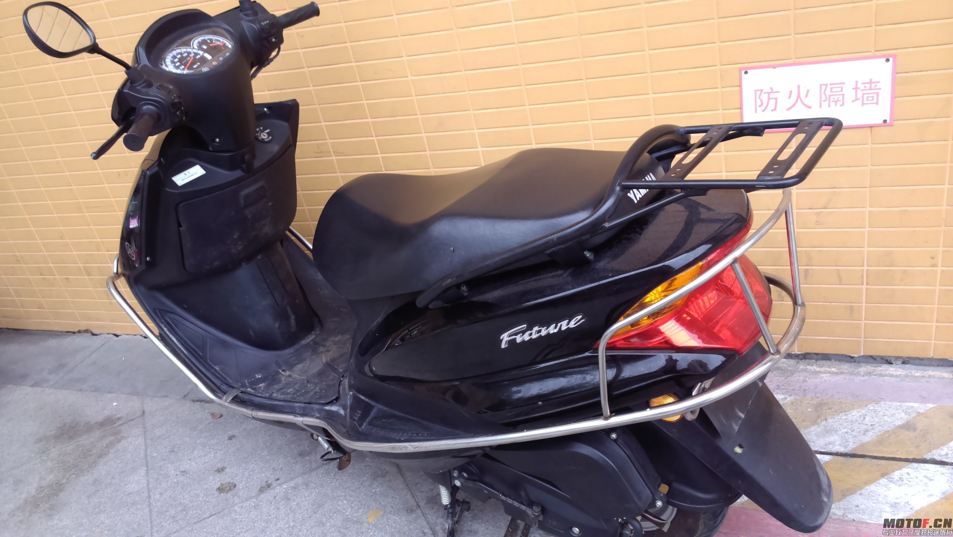 IMAG0306.jpg