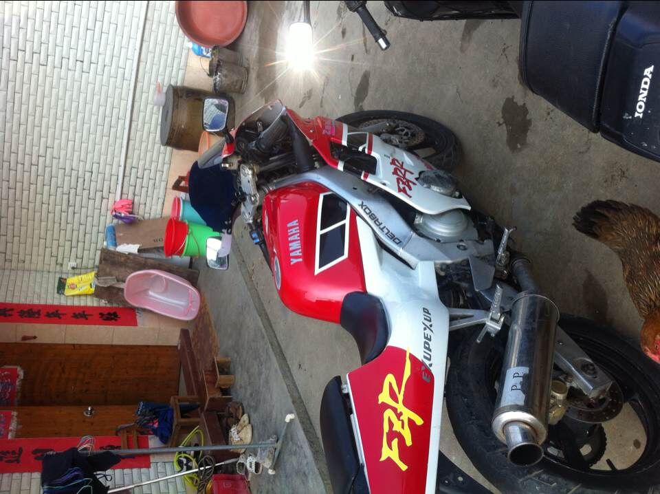 QQ图片20020103004308.jpg