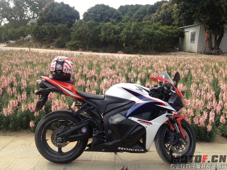 QQ图片20150524004346.jpg