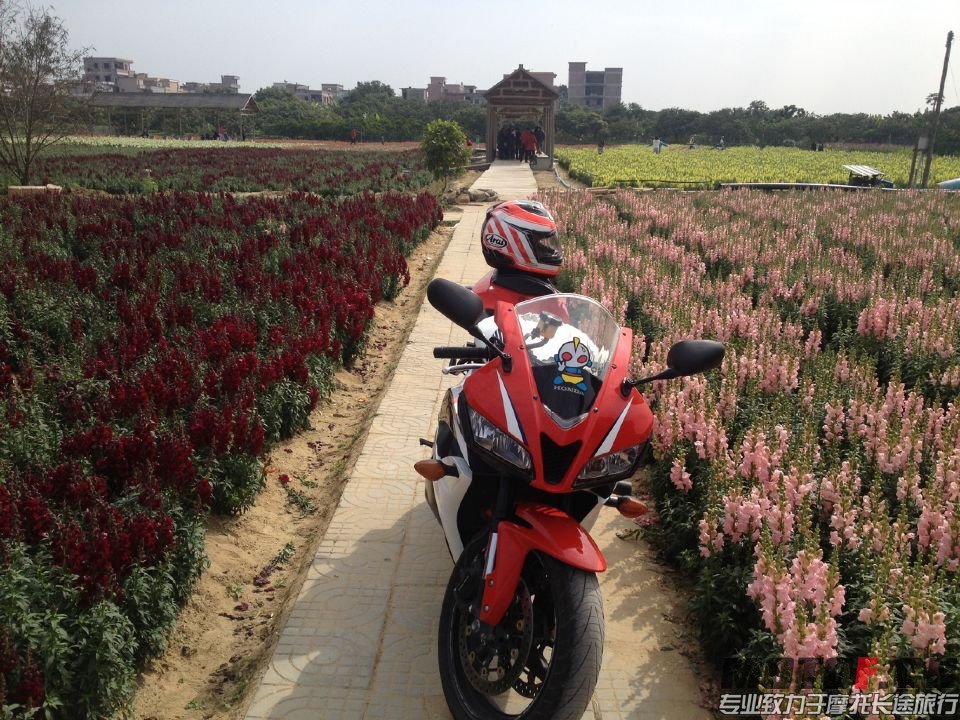 QQ图片20150524004342.jpg
