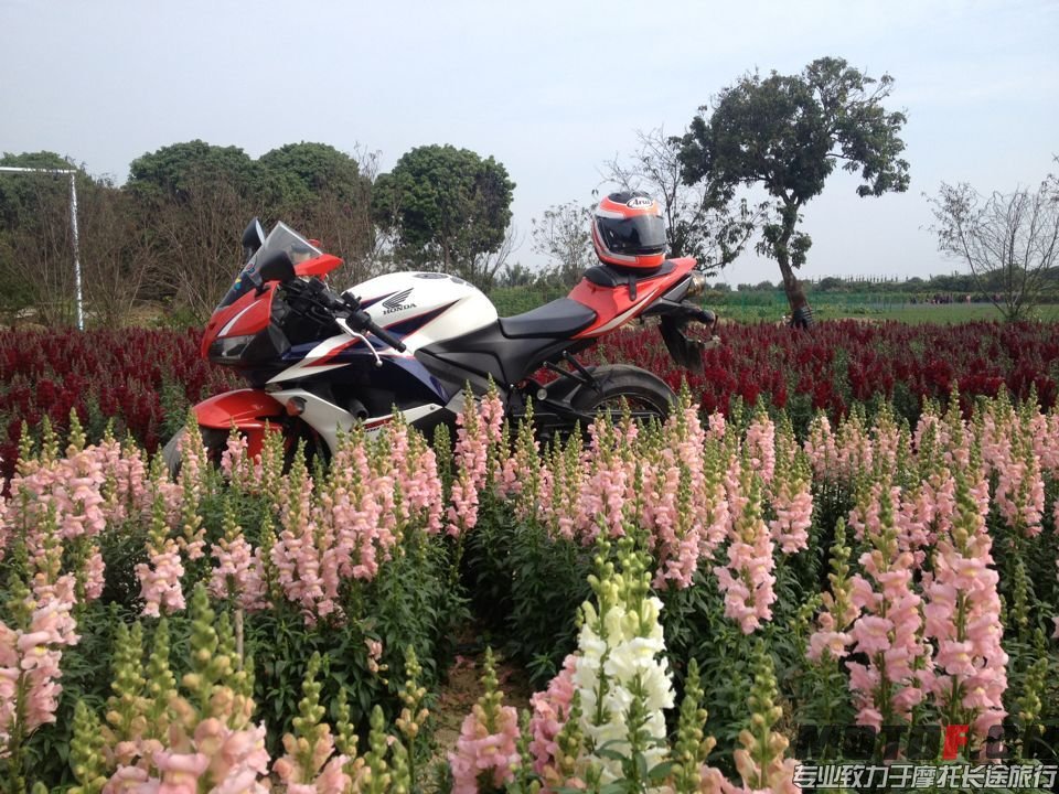 QQ图片20150524004333.jpg