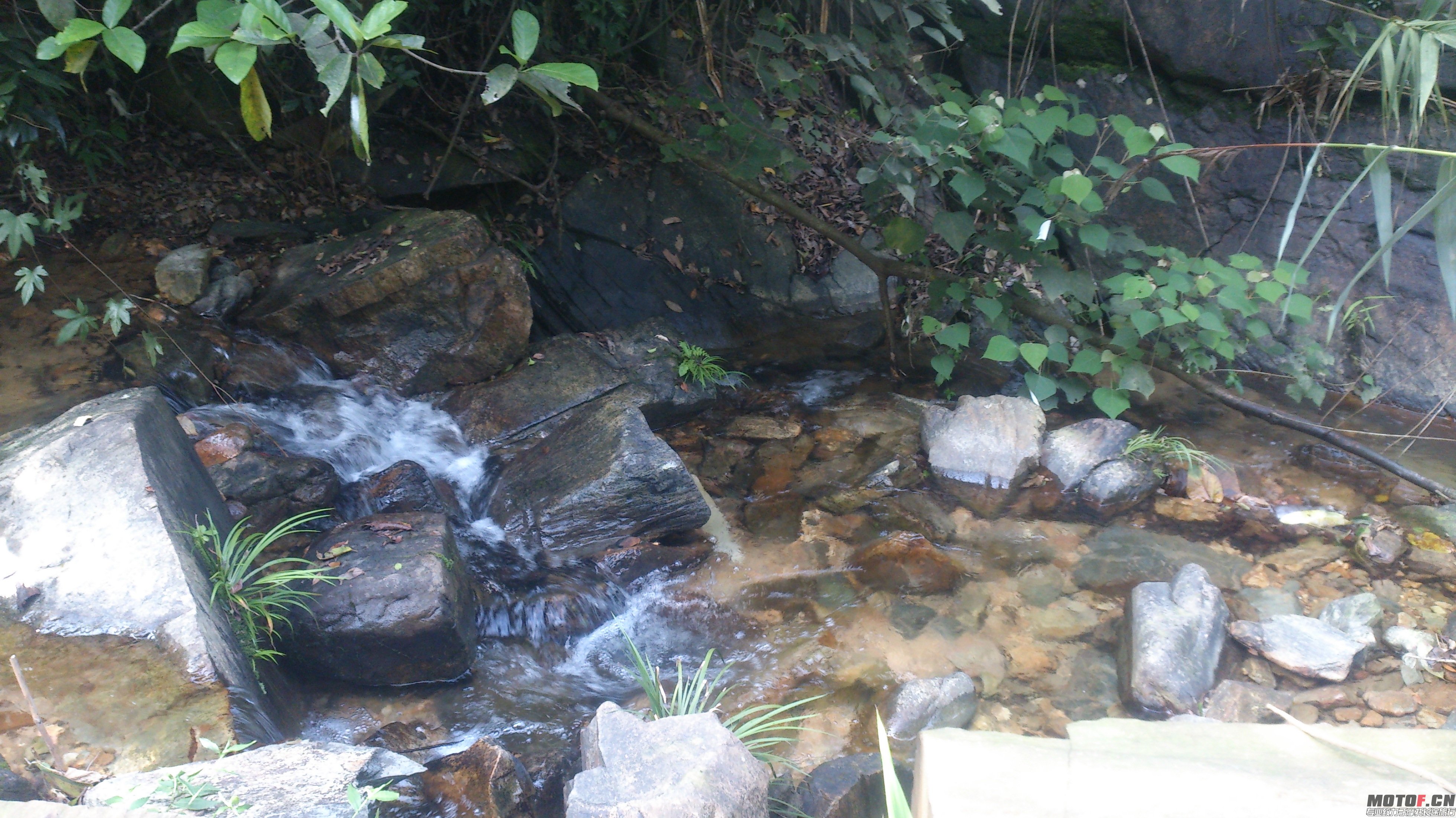 DSC_0054.JPG