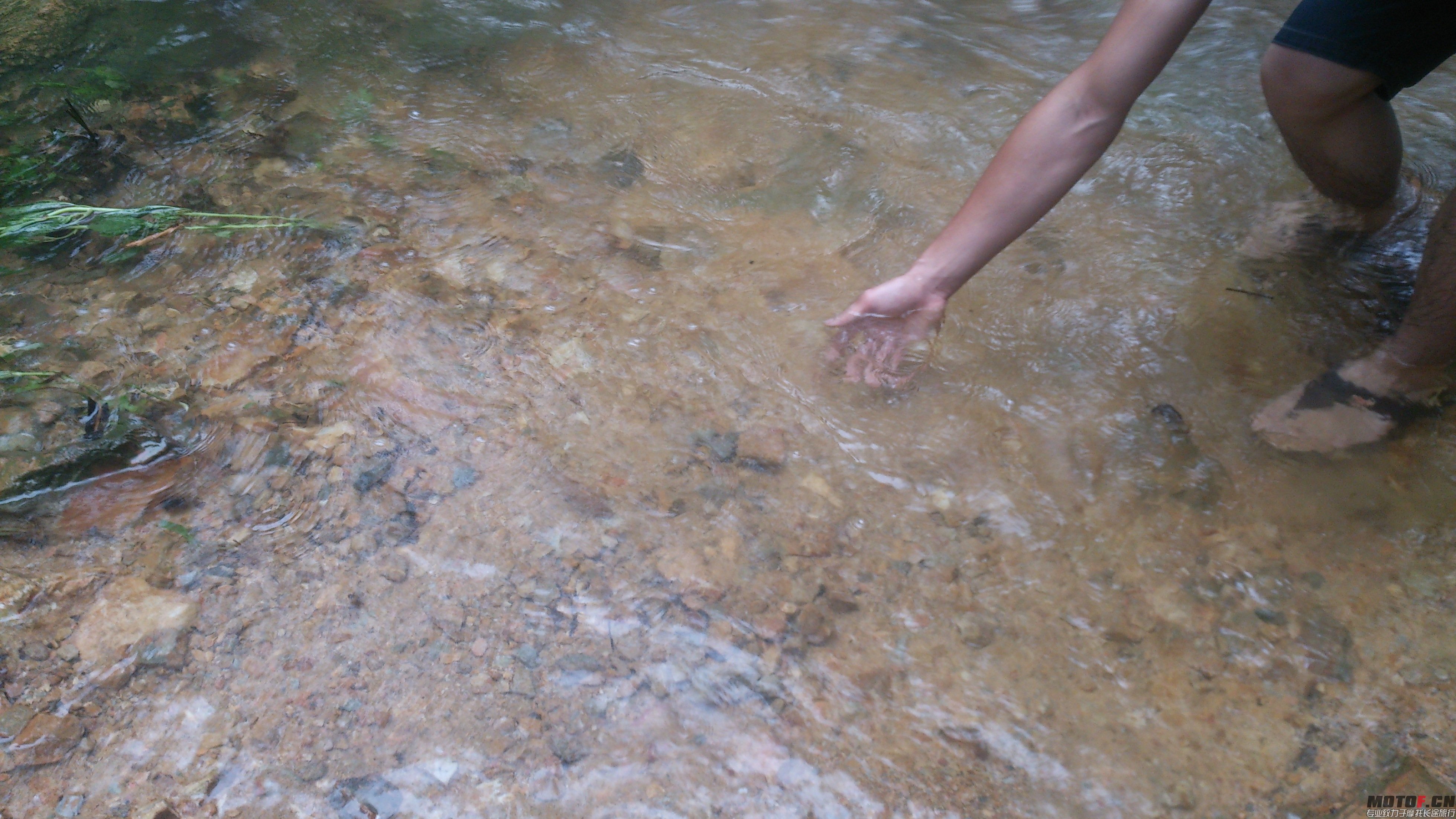 DSC_0106.JPG