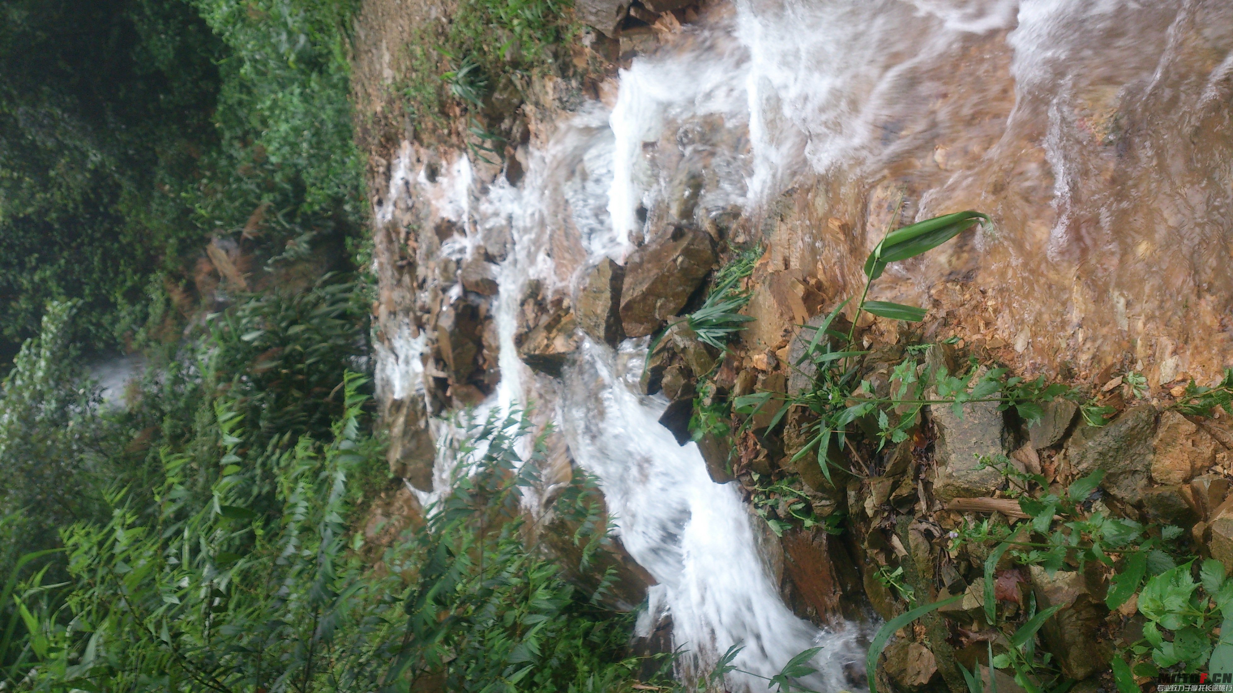 DSC_0116.JPG