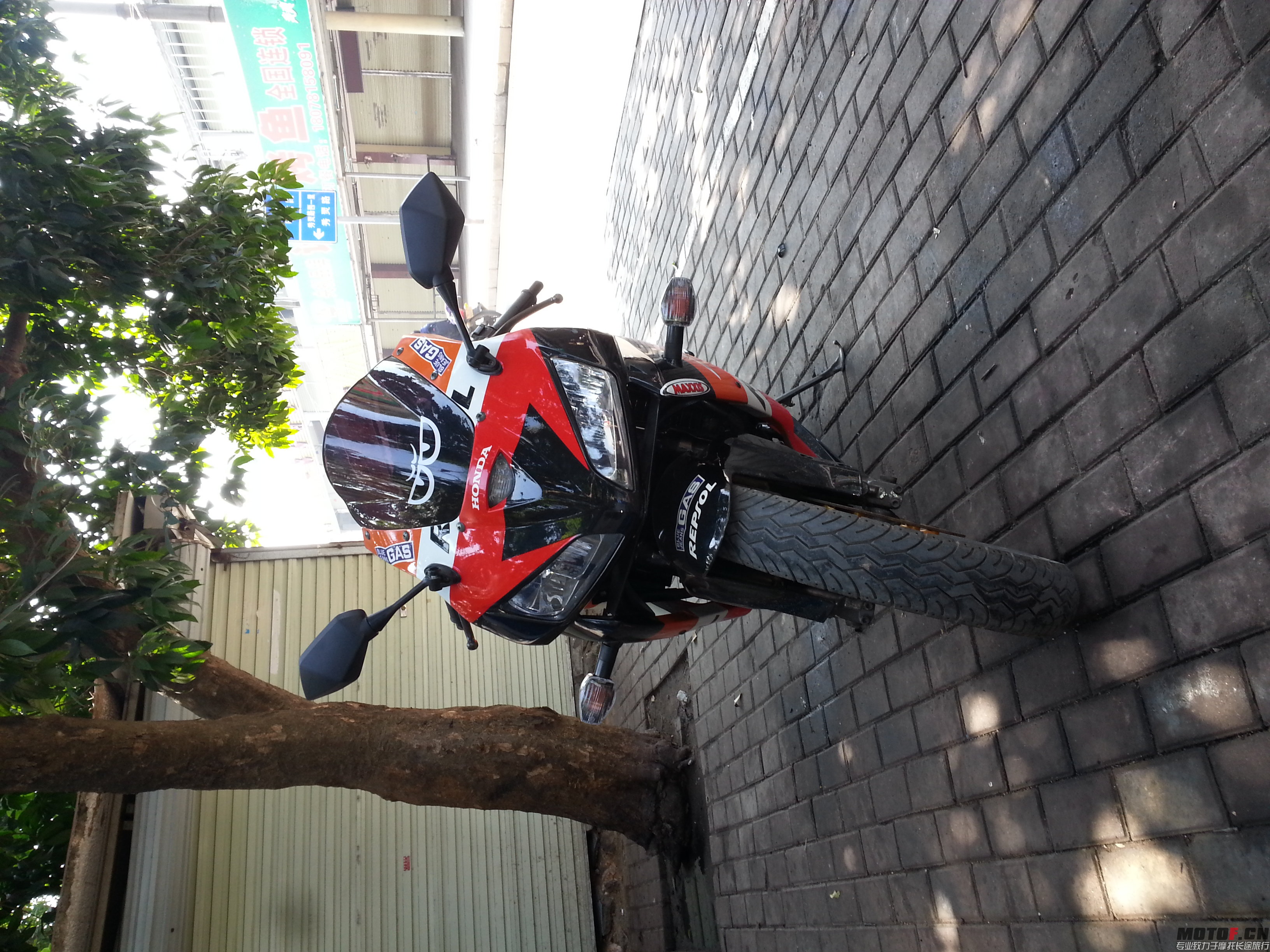 IMG20141230120128.jpg