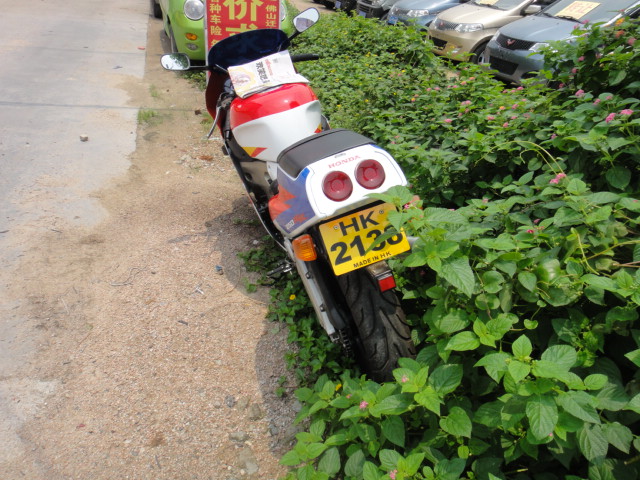 DSC01747.JPG