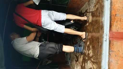 IMG_20150604_151637.jpg