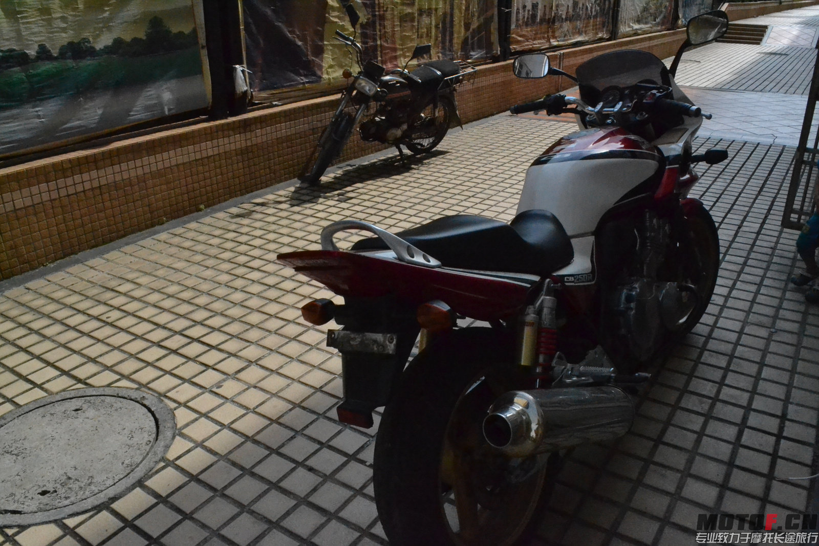 DSC_0791.jpg