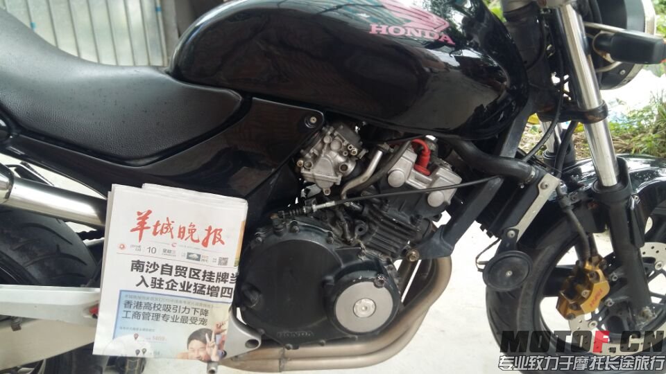 B87D2D70B660AF301BB63CC3AA469287.jpg