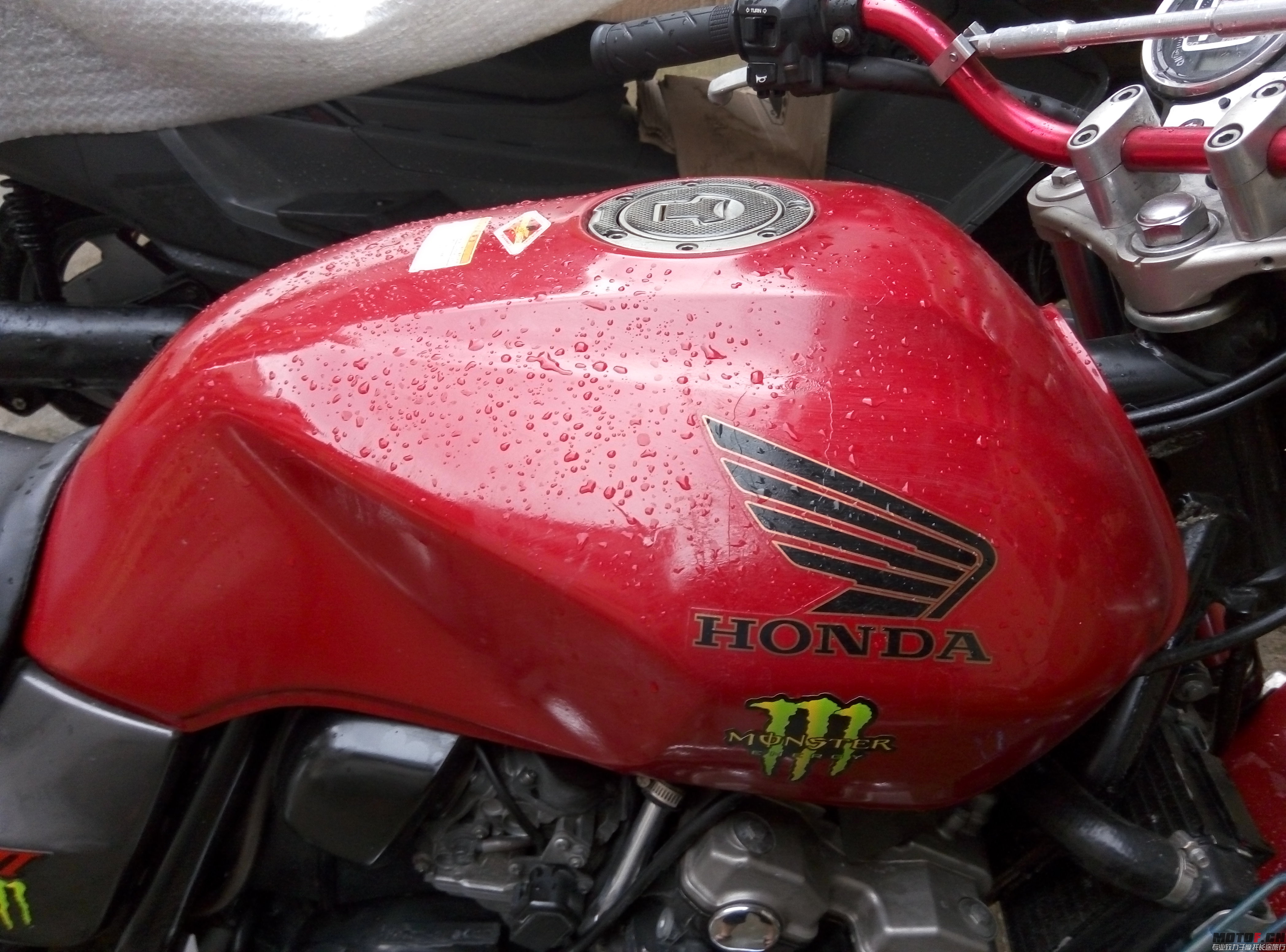 P50611-154112.jpg