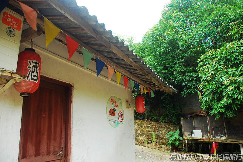 DSC_0174.jpg