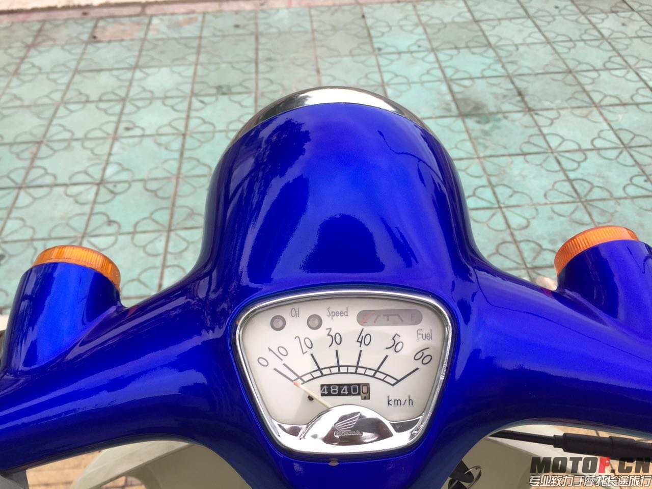 4030332985200311652.jpg