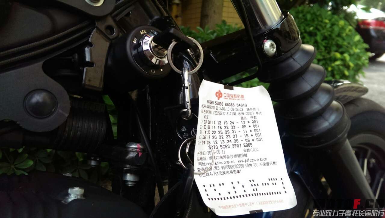 6051834989595741479.jpg