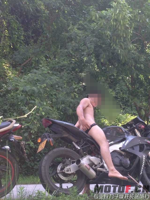 -3dc55c7b54eef16f.jpg
