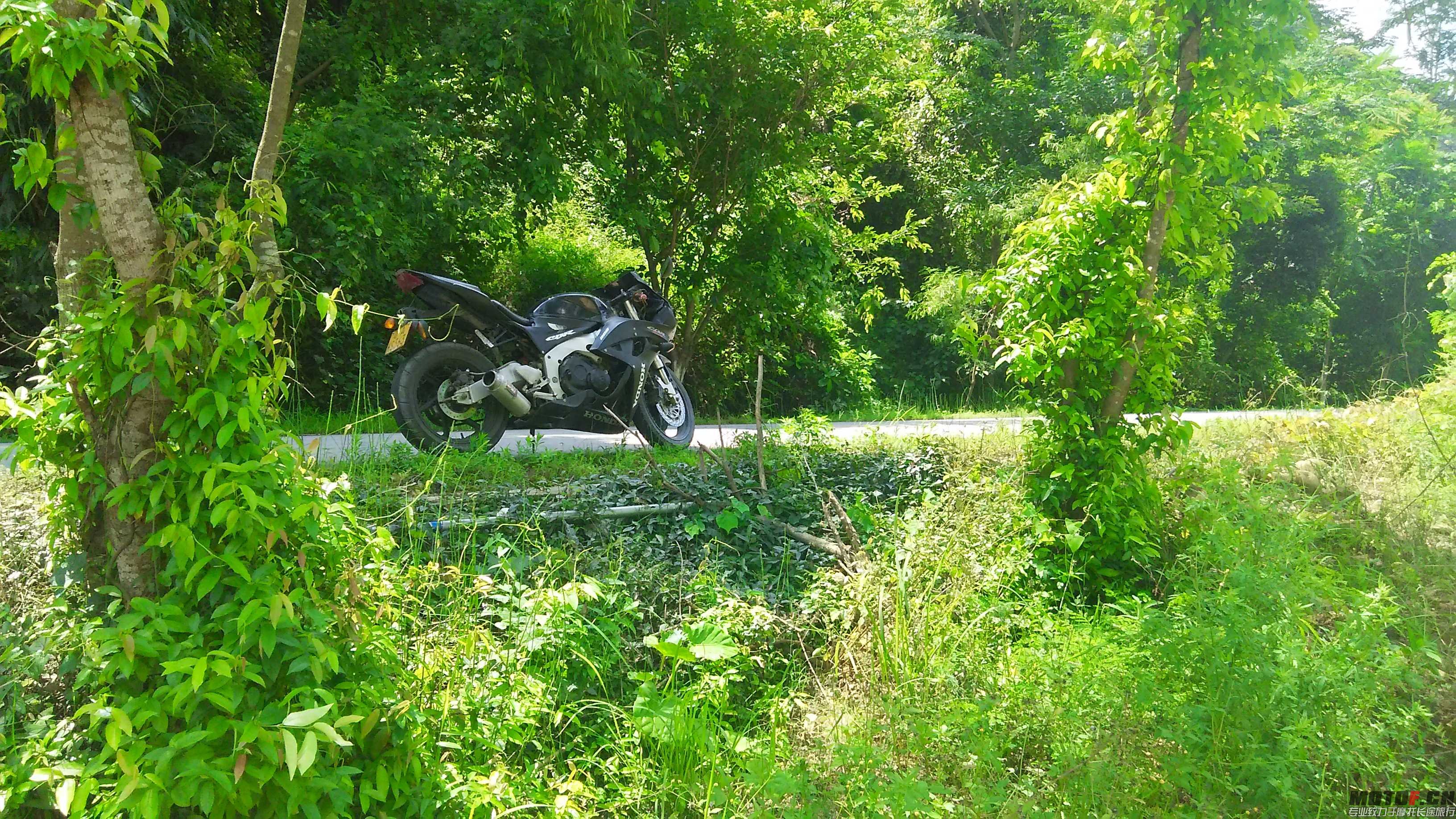 DSC_0319.JPG