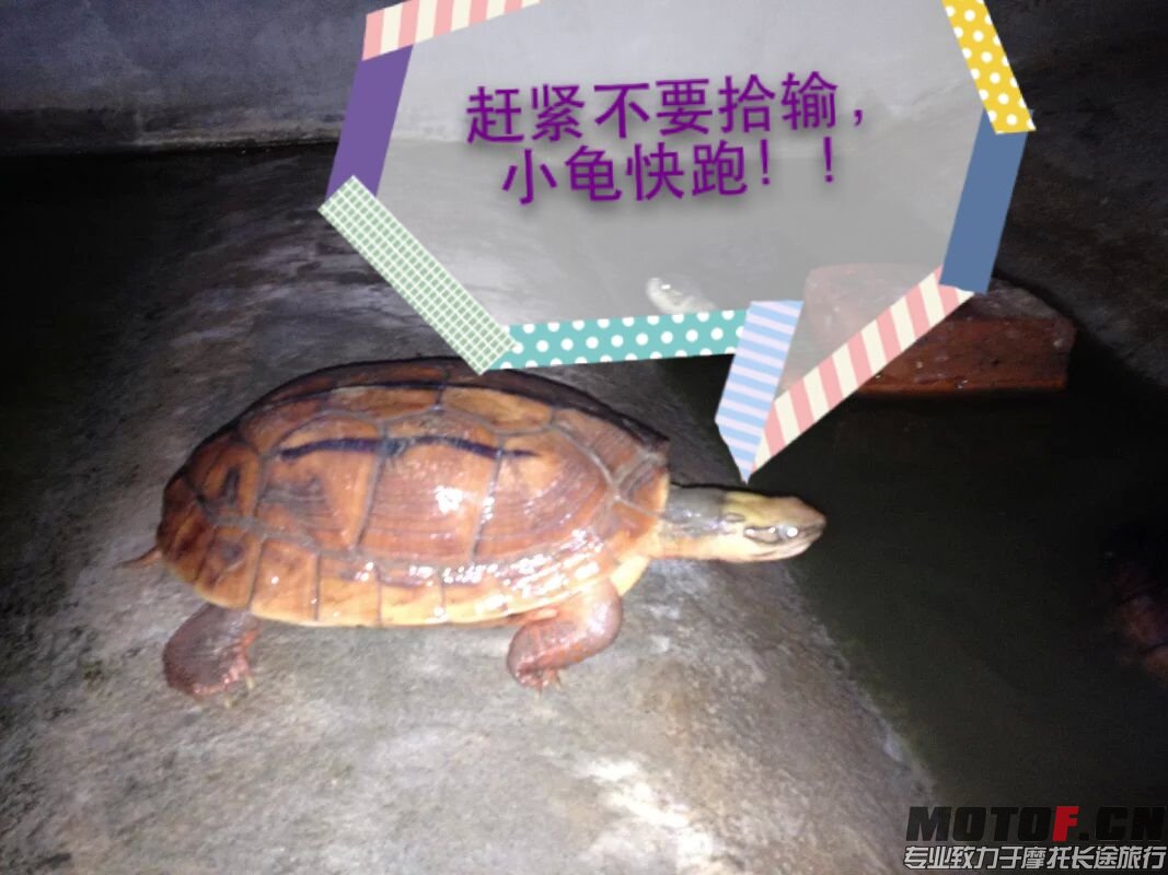QQ图片20150624190327.jpg