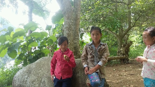 20150623_131737.jpg
